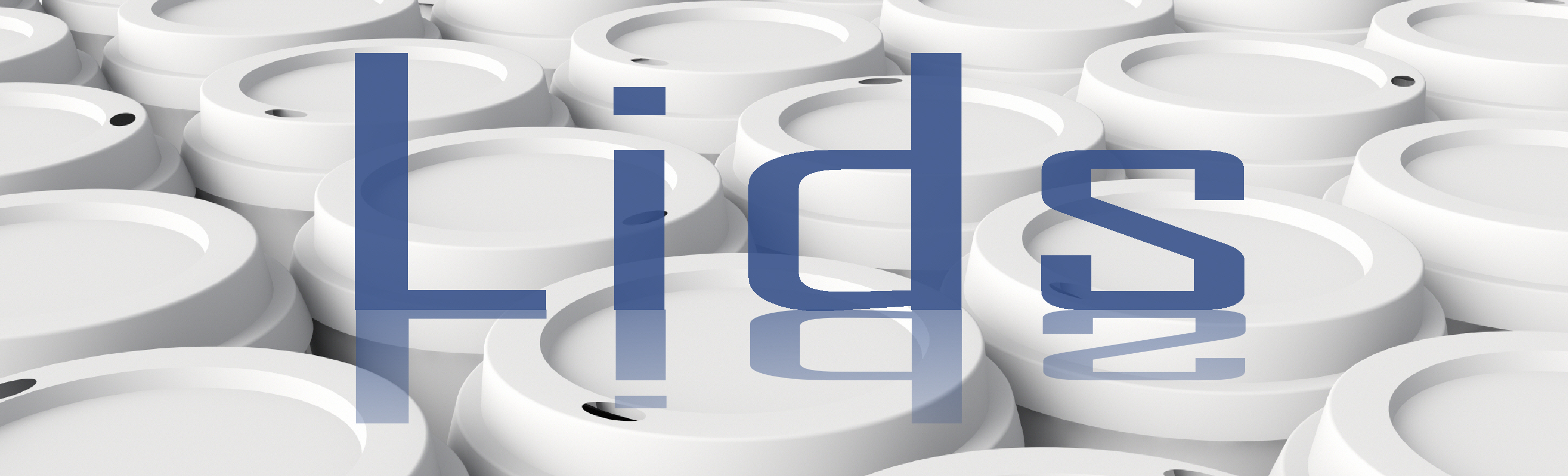 Lids-web graphic