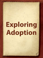 exploring-adoption